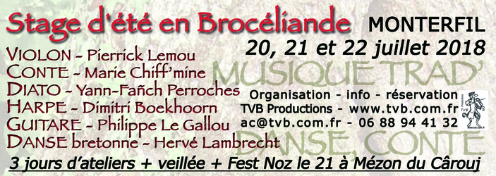 Stages d'été en Brocéliande